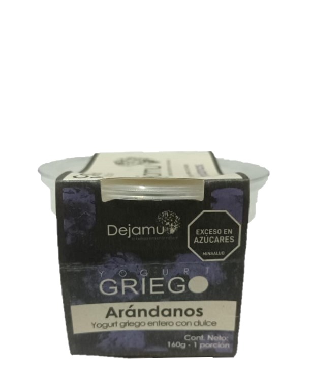 Yogurt Griego Dejamu 160 grs arandanos