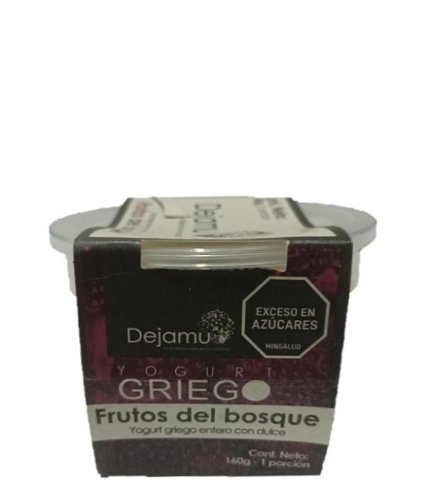 Yogurt Griego Dejamu 160 grs frutos del bosque