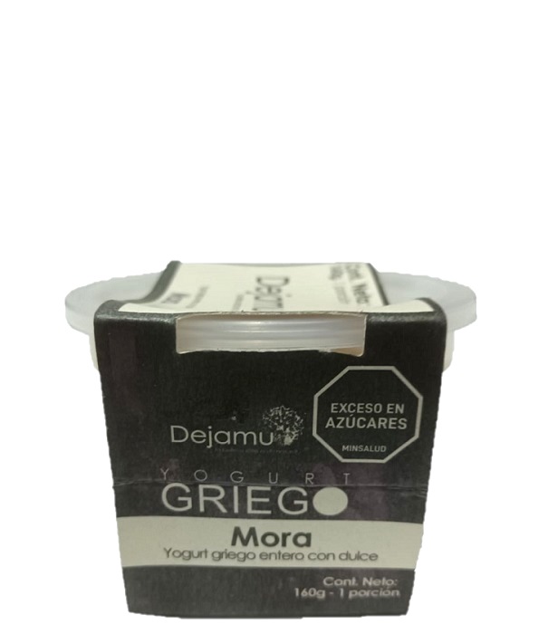 Yogurt Griego Dejamu 160 grs mora