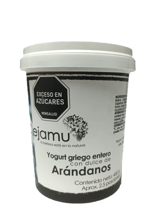 Yogurt Griego Dejamu 450 grs arandanos